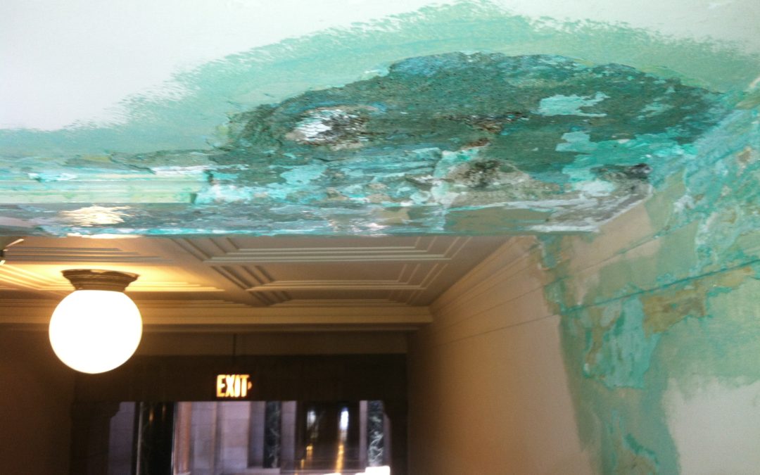 Nebraska State Capitol Ceiling Repairs
